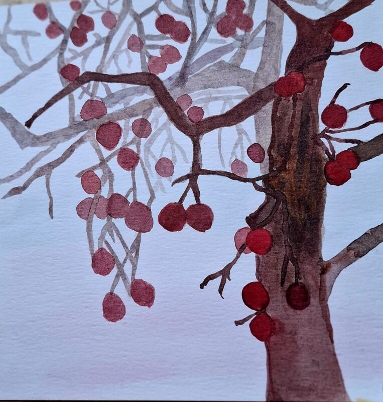 Micromomentos de alegría la felicidad en lo sencillo