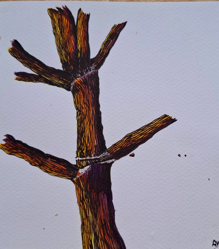 CIE-en-España-derechos-humanos-y-salud-mental