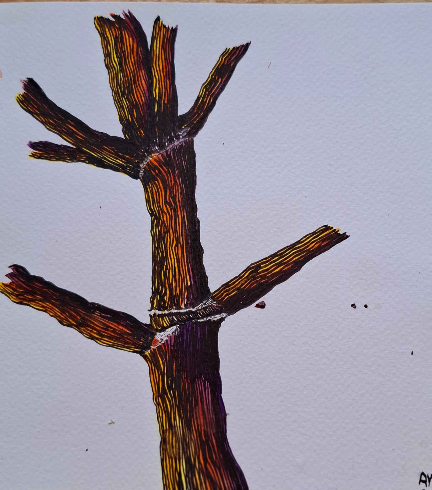 CIE-en-España-derechos-humanos-y-salud-mental